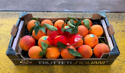 Foto Tarocco Ippolito Calibro 6 Origine Italia Marchio Frutteti Italiani 1